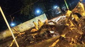 Enorme árbol cayó sobre motociclista en Ciudad del Este y lo mató - ABC en el Este - ABC Color