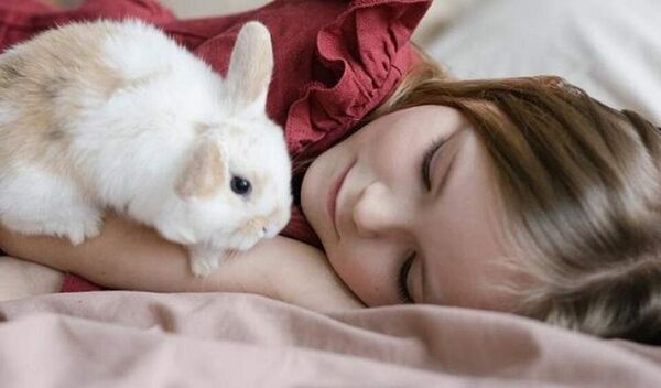 Los conejos son cariñosos y juguetones, ideales para tenerlos como mascotas - Mascotas - ABC Color