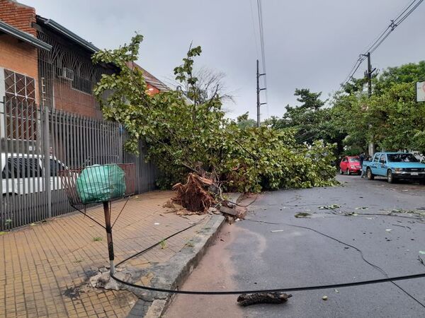 Cuantiosos daños por vientos de casi 100 km/h durante la tormenta - Nacionales - ABC Color