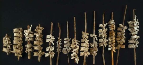 Hallan casi 200 columnas vertebrales empaladas en sitio arqueológico de Perú