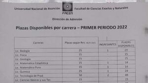 Polémica por cero ingresantes en la UNA: "No es que los alumnos sean burros"