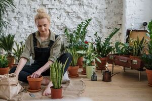 ¿Sabías que hay plantas que te ayudan a combatir el estrés?