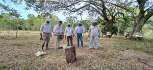 SAN JUAN DEL PNÁ.: IMPULSAN LA PRODUCCIÓN APÍCOLA EN EL DISTRITO - Itapúa Noticias