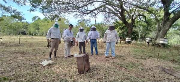 SAN JUAN DEL PNÁ.: IMPULSAN LA PRODUCCIÓN APÍCOLA EN EL DISTRITO - Itapúa Noticias
