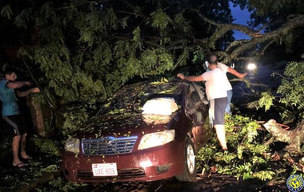 Árboles caídos causan destrozos en Luque •