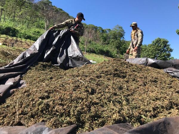 Gobierno con récord en incautación de cocaína y US$ 581 en perjuicio al crimen organizado - .::Agencia IP::.