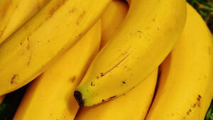 Nuevo récord por exportación de banana en 2021 con US$ 19,3 millones ingresados