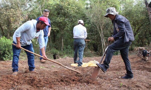 Comuna realiza trabajo de campo en colonia indígena de Hernandarias