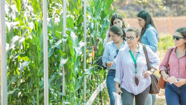 Más de 20 empresas presentarán cultivos demostrativos en Innovar 2022