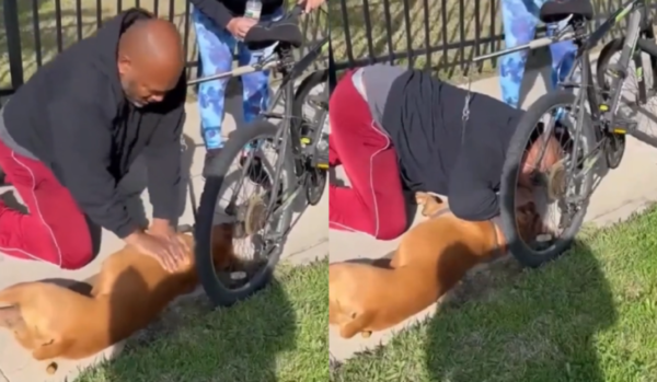 Él es el mejor amigo del perro: Así lo salvó