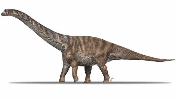 Diario HOY | Descubren una nueva especie de dinosaurio que vivió en el Pirineo