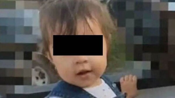 Murió una nena de 2 años tras comer una galleta envenenada que le dejaron a su perro