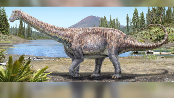 Descubren una nueva especie de dinosaurio que vivió en el Pirineo