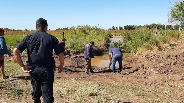 Ganadero denuncia extraña matanza de animales en Coronel Bogado