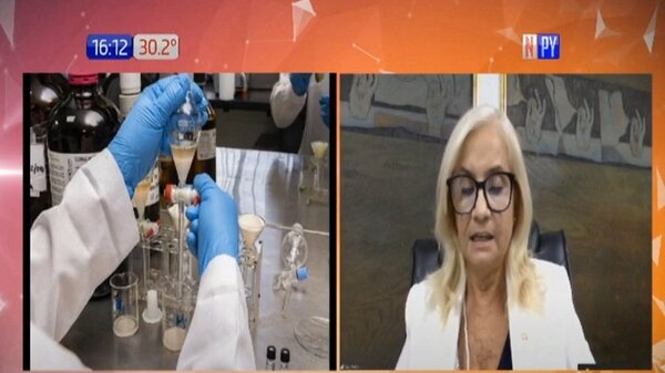 La peligrosa práctica de engordar cocaína, es más común de lo que se pensaba | Noticias Paraguay