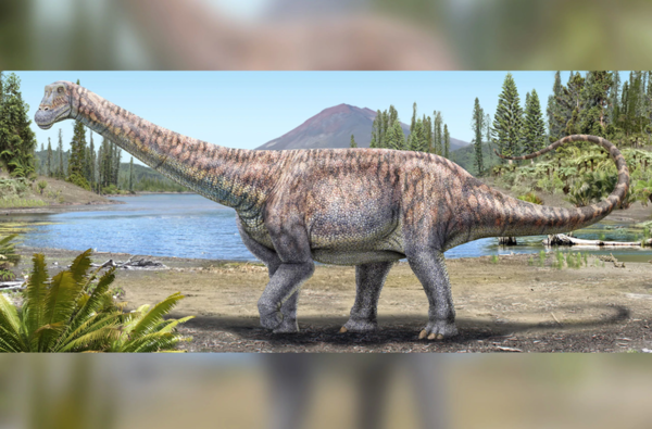 Descubren una nueva especie de dinosaurio que vivió en el Pirineo