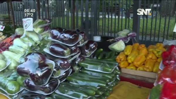 Feria Agrícola en la Plaza de la Justicia - SNT