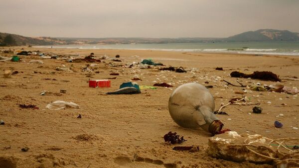 Contaminación con plásticos afecta ya al 88% de las especies marinas