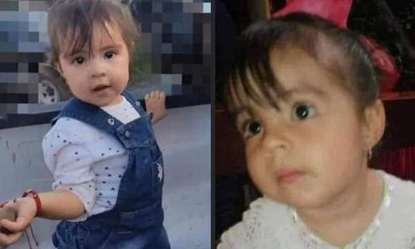 Niña de 2 años murió por comer galleta envenenada que le dieron a su perro en México – Prensa 5