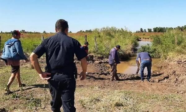 Denuncian extraña matanza de animales en Itapúa – Prensa 5