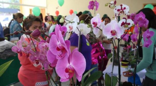 El MAG organiza Feria de orquídeas por el día de los enamorados