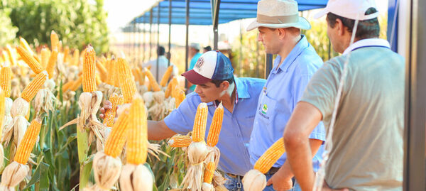 Más de 20 empresas presentarán cultivos demostrativos en feria Innovar - La Clave