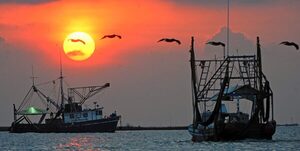 México combate incursión ilegal de barcos en área de pesca estadounidense - MarketData