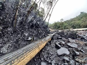 La OCP Ecuador repara oleoducto y reinicia el bombeo de petróleo - MarketData