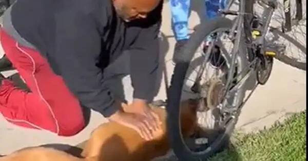 La Nación / Salvó la vida a su perro y el video se volvió viral en las redes