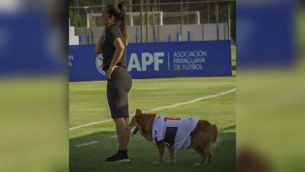 Lleva a su perrita de "asistente" para entrenamientos en Olimpia