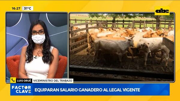 Equiparan salario ganadero al mínimo legal vigente - Factor Clave - ABC Color