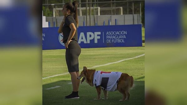 Lleva a su perrita de "asistente" para entrenamientos en Olimpia