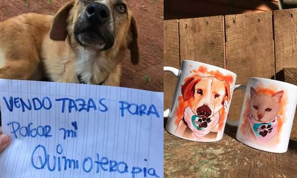 Perrita con cáncer, vende tazas para costear su quimioterapia – Prensa 5