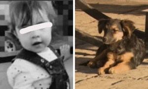 Diario HOY | Niña de 2 años murió por comer galleta envenenada que le dieron a su perro
