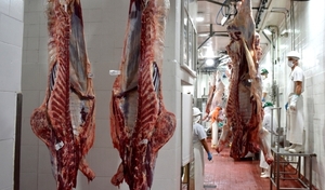 La carne paraguaya fue la preferida por el mercado chileno en el 2021