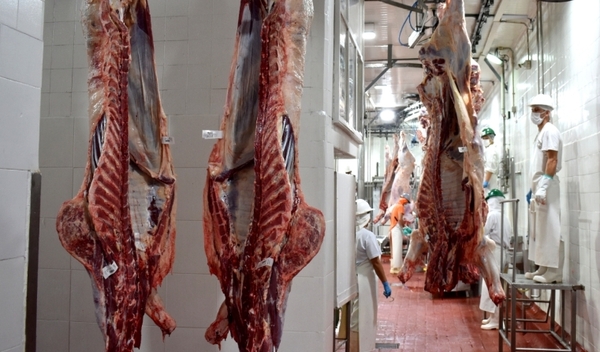 La carne paraguaya fue la preferida por el mercado chileno en el 2021