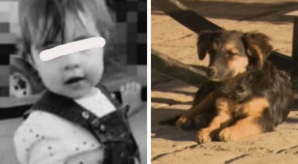 Niña de 2 años murió por comer galleta envenenada que le dieron a su perro