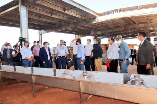 Presidente Mario Abdo visitó establecimiento agroganadero en Santa Fe del Paraná