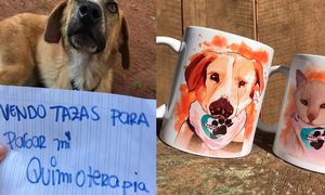 Greta, una perrita con cáncer, está vendiendo tazas para pagar sus quimioterapias - OviedoPress