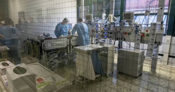 La Nación / Ómicron registra medio millón de muertos en tres meses, según OMS