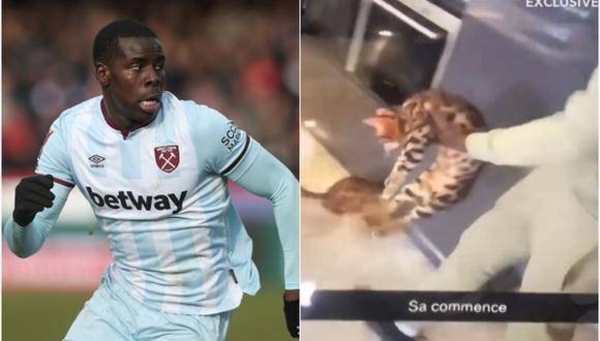 Diario HOY | Le quitan dos gatos al futbolista Kurt Zouma por patearles