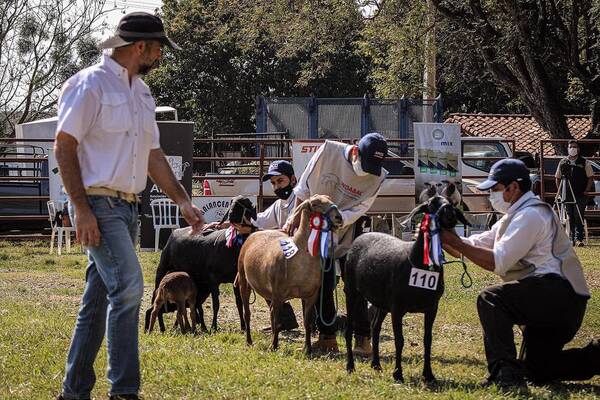 Anuncian Feria Nacional Ovina edición 2022 en Encarnación