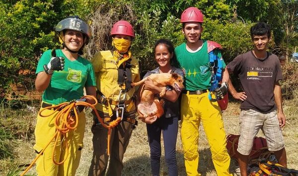 Así bomberos lograron el rescate de un perro que cayó en un pozo ciego - Nacionales - ABC Color