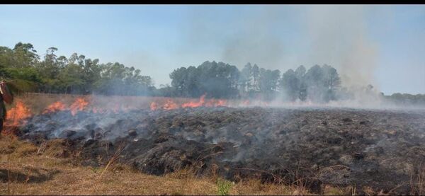 Suman los casos de incendios de pastizales en Itapúa.