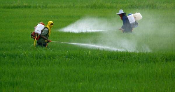 La Nación / Brasil: Diputados aprobó polémico proyecto que flexibiliza uso de agroquímicos