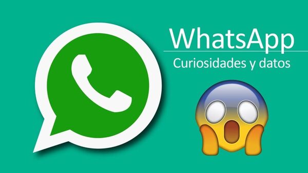 WhatsApp: Te presentamos 12 curiosidades que tal vez no conocías » San Lorenzo PY