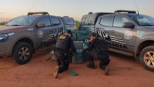 DOF incauta otros 525 kilos de cocaína en la zona de Coronel Sapucaia y suma 1.019 kilos en dos días