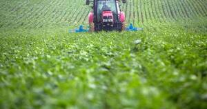 La Nación / USDA estima menor producción de soja en toda la región