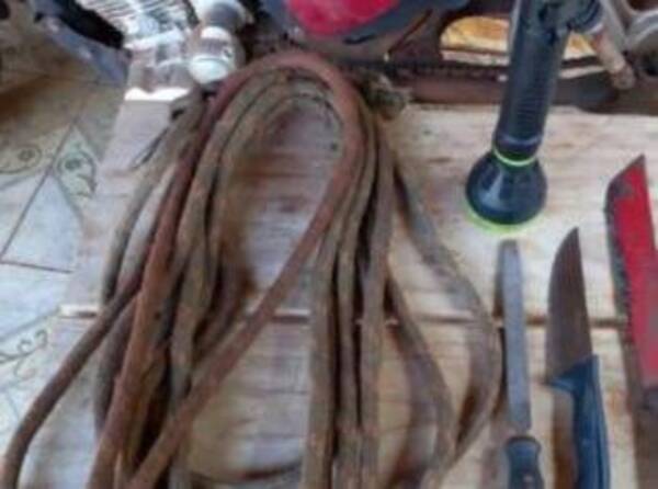 Crónica / Abigeos hacen su golpe con animales de familias mboriahu