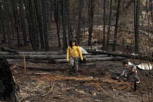 Incendios forestales arrasan campos de Corrientes, fronteriza con Paraguay - Mundo - ABC Color